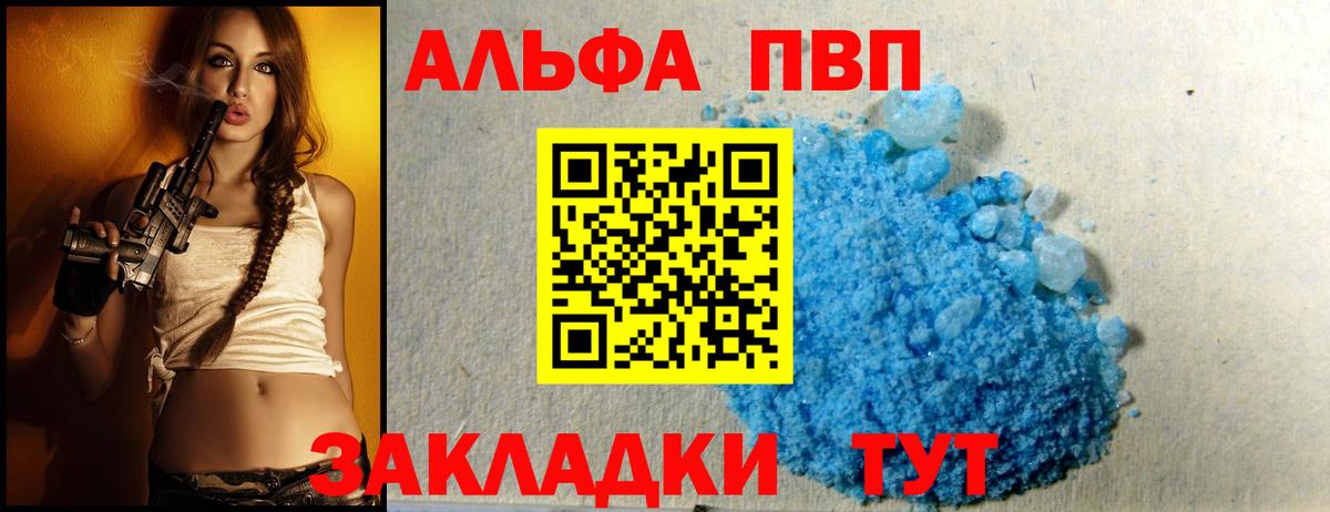 Альфа ПВП СК КРИС Железноводск